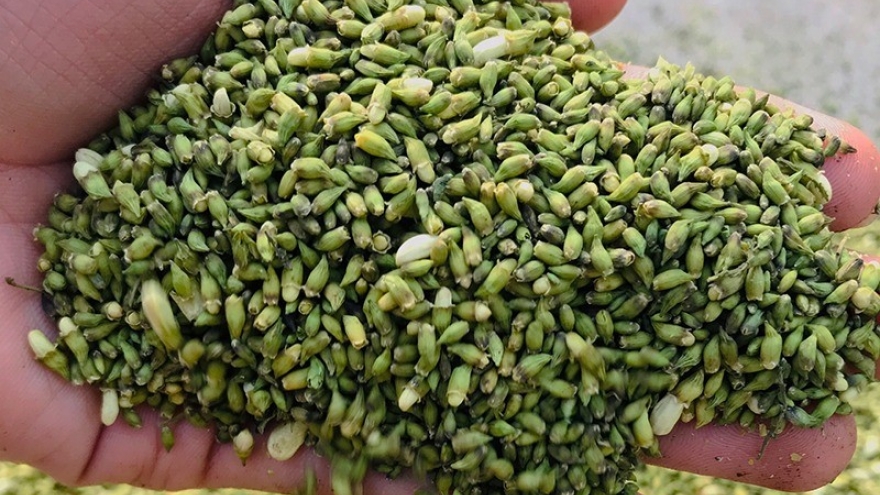 Loài hoa được ví như "tiên dược", không chỉ đẹp mà còn cực tốt cho tim mạch