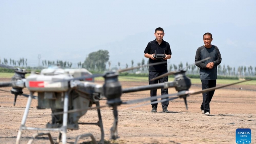 Vì sao nhiều người trẻ Trung Quốc “bỏ phố về quê”?