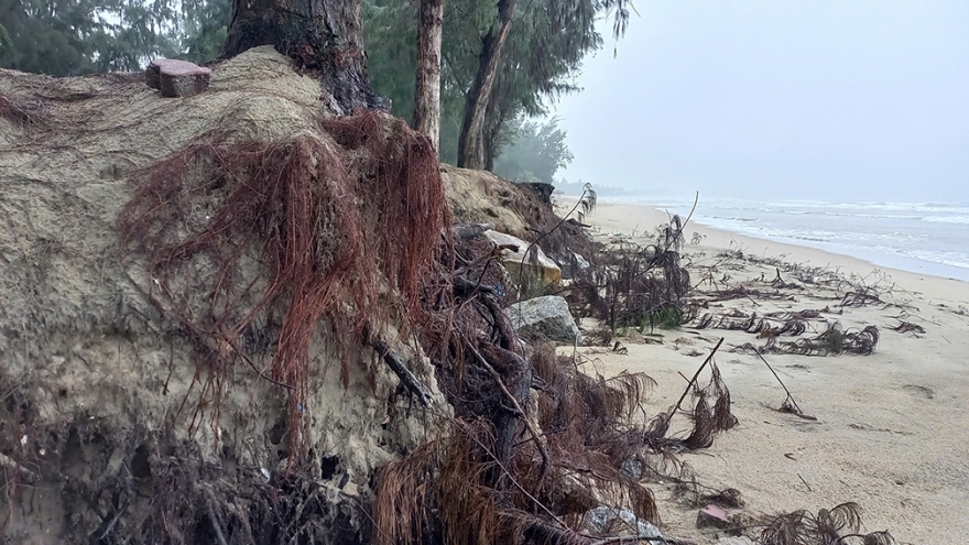 Quảng Ngãi kiến nghị hỗ trợ gần 1.300 tỷ đồng khắc phục hậu quả thiên tai