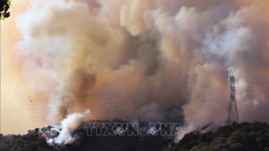 31.000 người phải sơ tán do bùng phát đám cháy rừng mới tại Los Angeles
