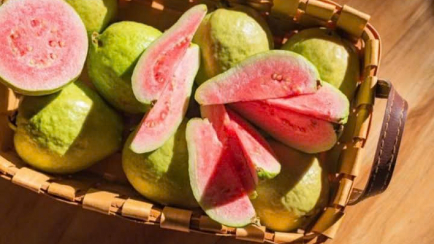 Ăn hạt ổi có tác dụng gì?