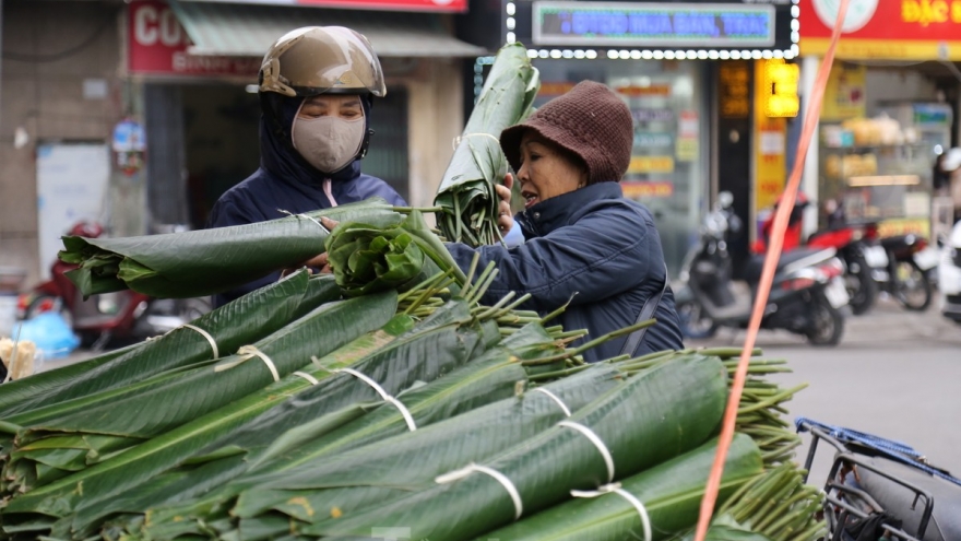 Hanoi’s Dong leaf market bustling at lunar year’s end