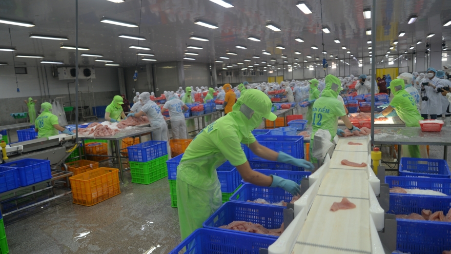 Xuất nhập khẩu Việt Nam đạt 786,29 tỷ USD trong năm 2024