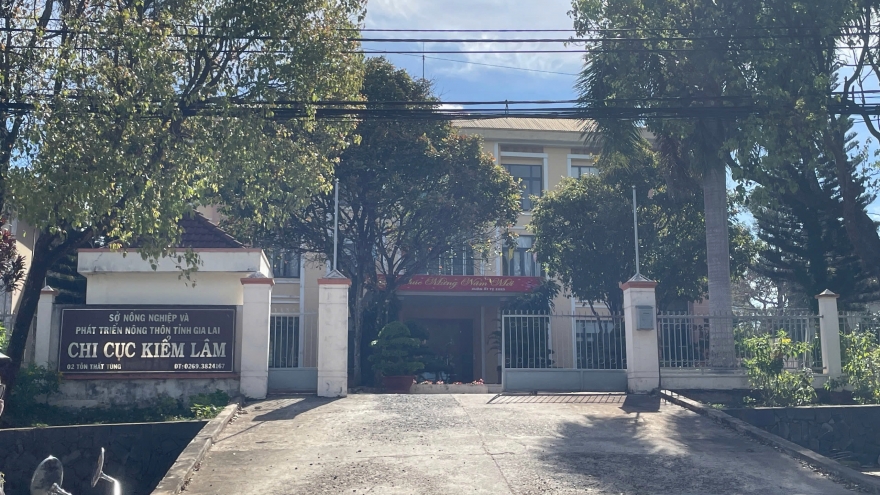 134 cán bộ một sở ở Gia Lai đăng ký nghỉ hưu trước tuổi