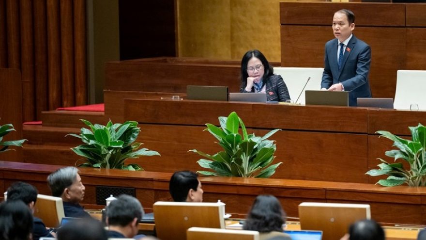 Không nên quy định cứng số lượng và tên ủy ban của Quốc hội trong luật?