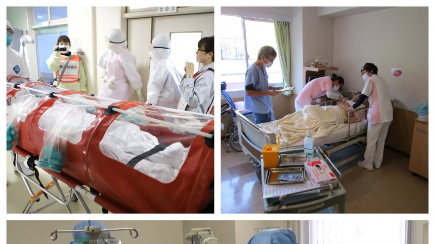 Dịch cúm tại Nhật Bản và câu chuyện đáng suy ngẫm tại Việt Nam