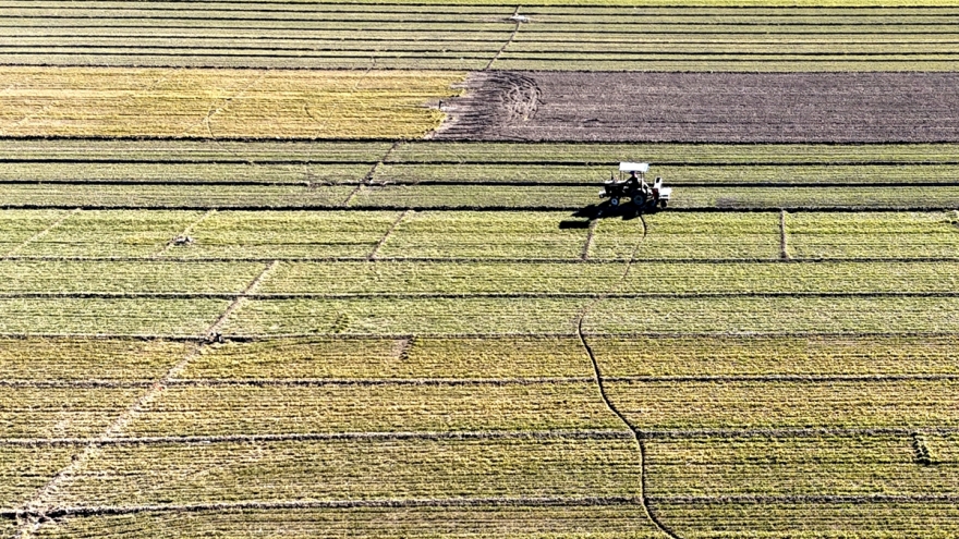 Trung Quốc phát triển lực lượng sản xuất chất lượng mới trong nông nghiệp
