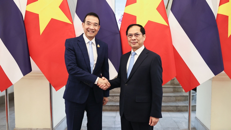 Bộ trưởng Ngoại giao Bùi Thanh Sơn hội đàm với Bộ trưởng Ngoại giao Thái Lan