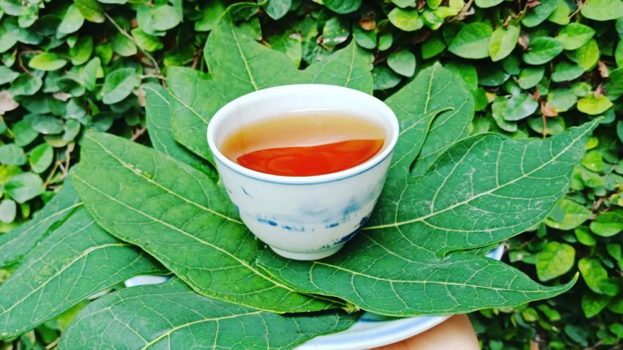 Điều gì xảy ra khi bạn uống nước lá đu đủ 3 lần/tuần