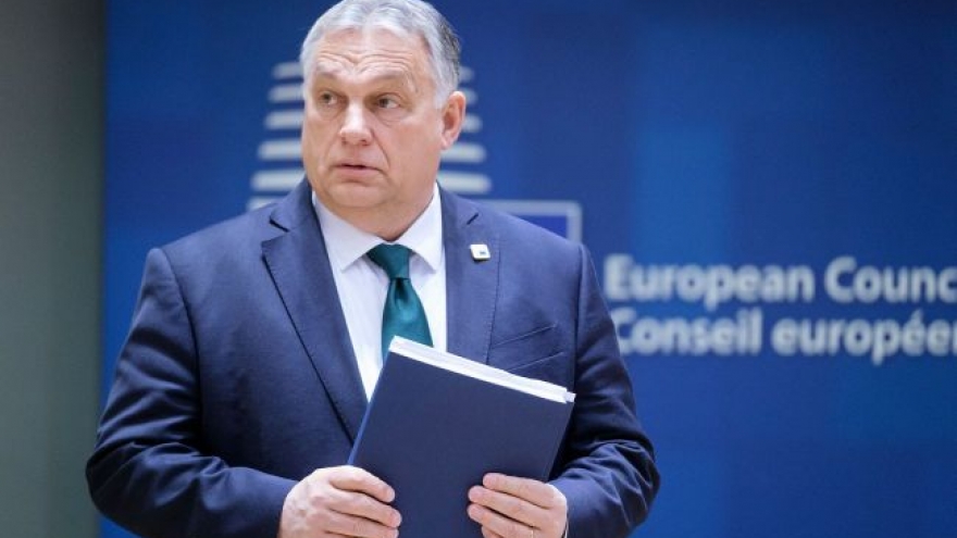 Hungary tìm kiếm sự hợp tác với Hoa Kỳ trước mối lo thuế quan Mỹ - EU