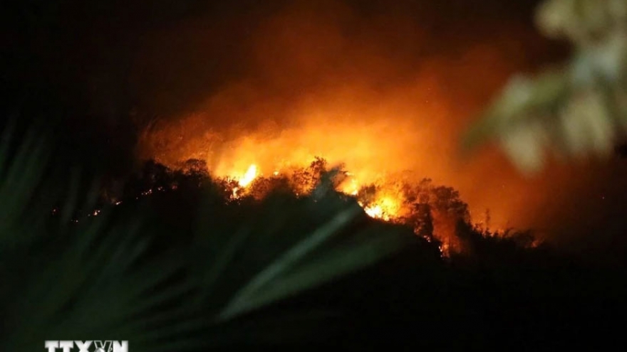 Cả nghìn người chữa cháy rừng tại Tuyên Quang: Xác định nguyên nhân ban đầu