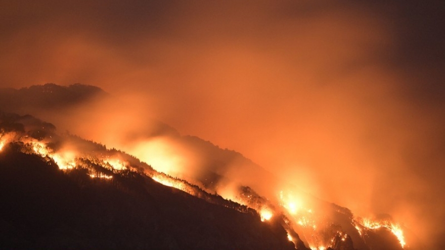 Cuộc sống của người dân lao đao sau thảm họa cháy rừng ở Nhật Bản