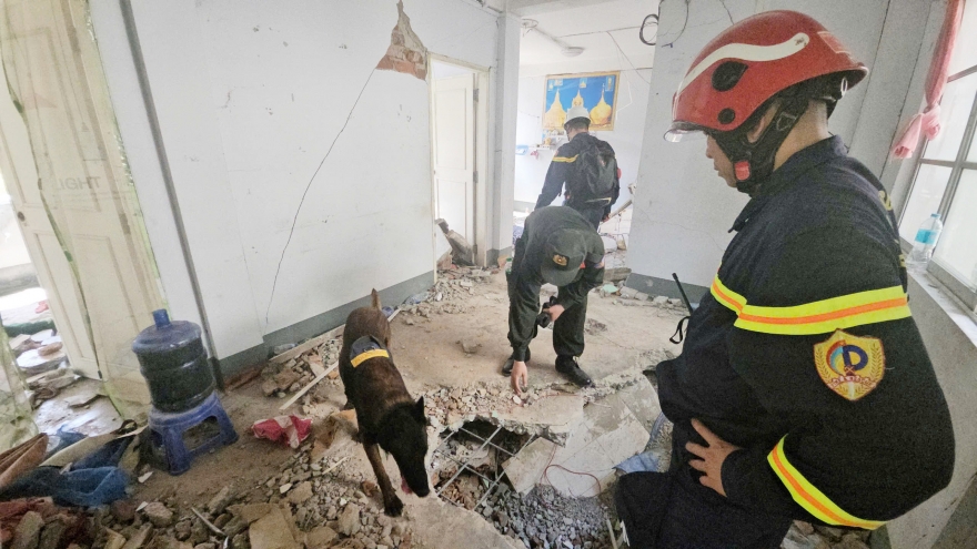 Đoàn cứu hộ của Bộ Công an dùng chó nghiệp vụ để tìm kiếm nạn nhân ở Myanmar