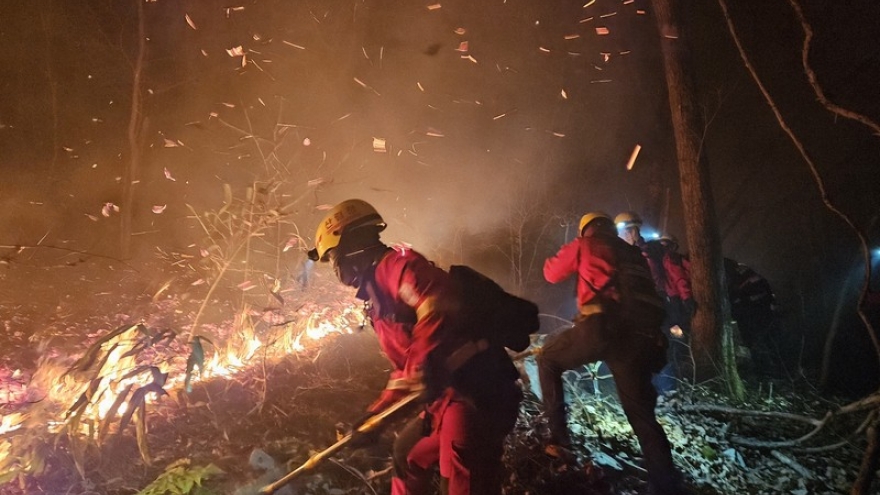 Cháy rừng tiếp tục lan rộng tại Hàn Quốc