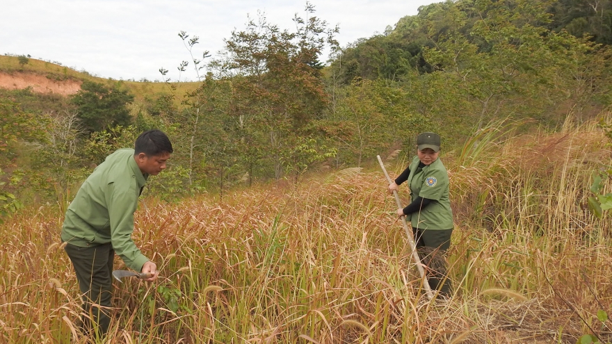 13.000ha rừng đặc dụng ở Kon Tum không thể khoán cho cộng đồng bảo vệ