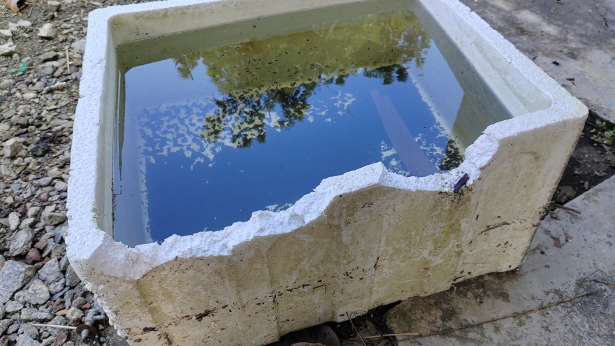 Cảnh báo nguy cơ sốt xuất huyết Dengue bùng phát trái mùa