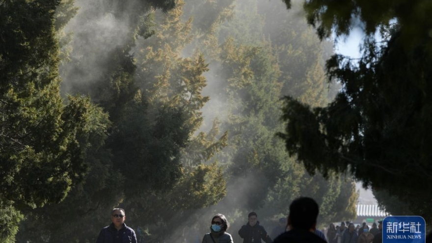 Thảm hoạ phấn hoa ở Bắc Kinh (Trung Quốc)