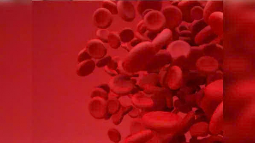 Những loại thực phẩm giúp tăng nồng độ hemoglobin một cách tự nhiên