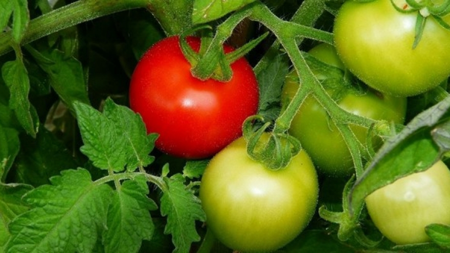 3 loại thực phẩm là “vua hại gan” không phải ai cũng biết