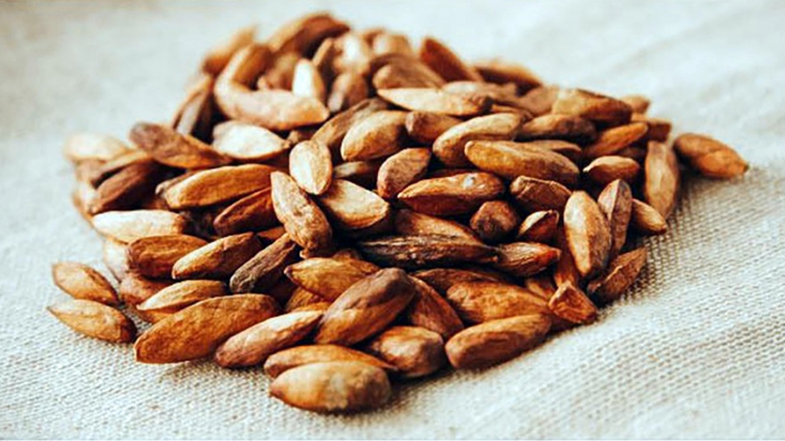 Săn mứt đặc sản ngoài đảo xa có giá đến nửa triệu đồng/kg