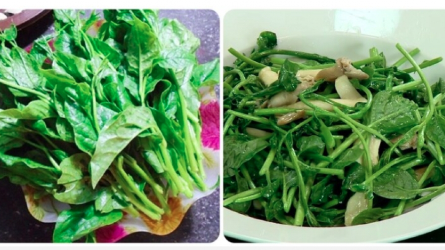 Những người nên thường xuyên ăn rau mồng tơi