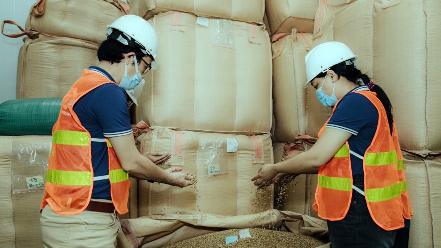 Mỹ áp thuế 46% gây áp lực và thách thức với doanh nghiệp cà phê Đắk Lắk