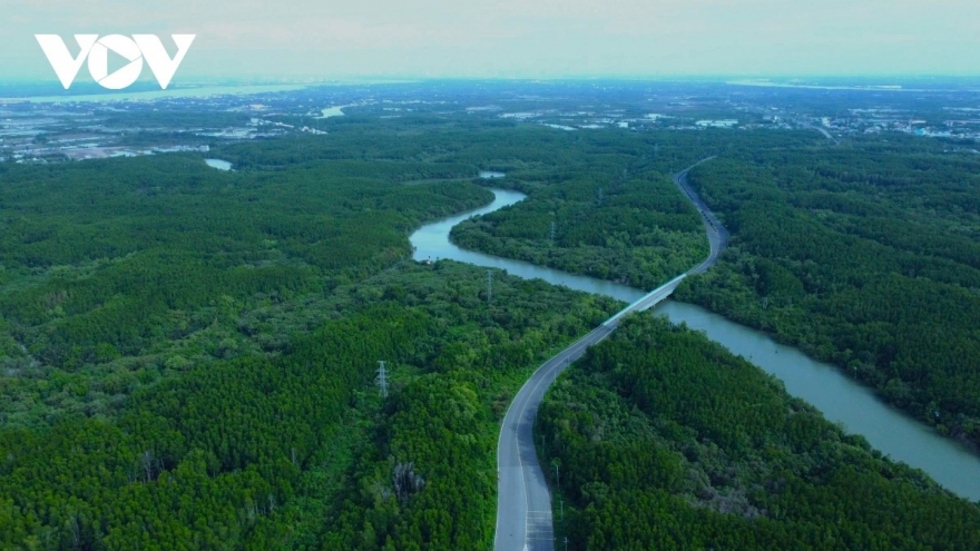 Đề xuất bổ sung đường sắt đi Cần Giờ vào quy hoạch chung của TP.HCM