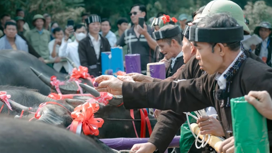 Đặc sắc nghi lễ “cúng hồn trâu” của đồng bào Lự