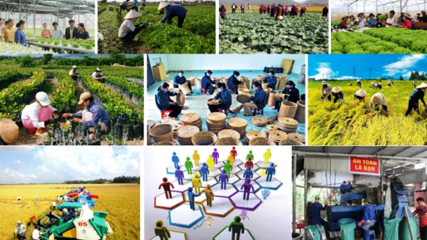 Chuyển đổi số trong hoạt động của hợp tác xã