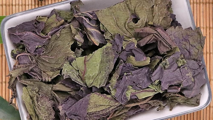 Loại lá phơi khô sẽ thành “thuốc” dưỡng gan lại bổ phổi, chợ Việt bán quanh năm