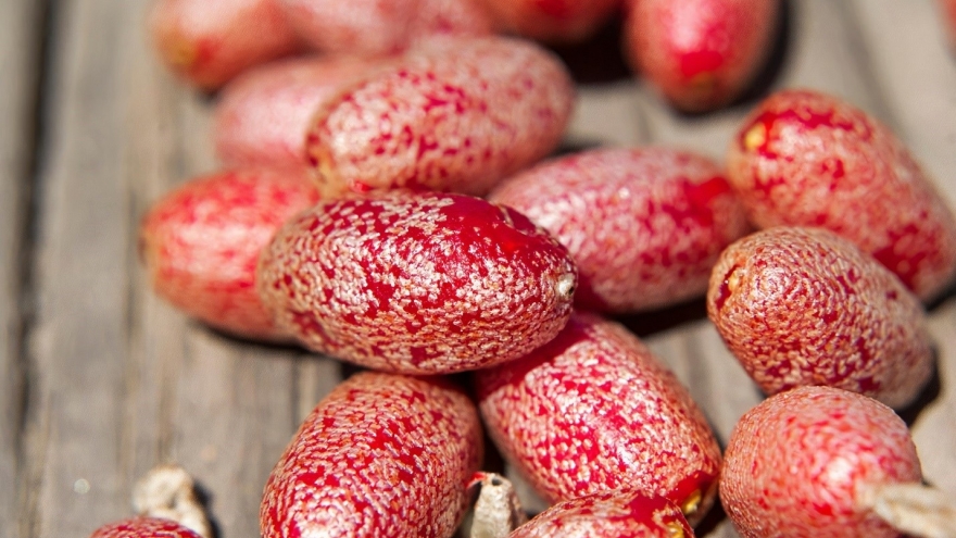 Loại quả chua chát lại là “vựa vitamin C”, ăn vào giúp dưỡng nhan lại khỏe người