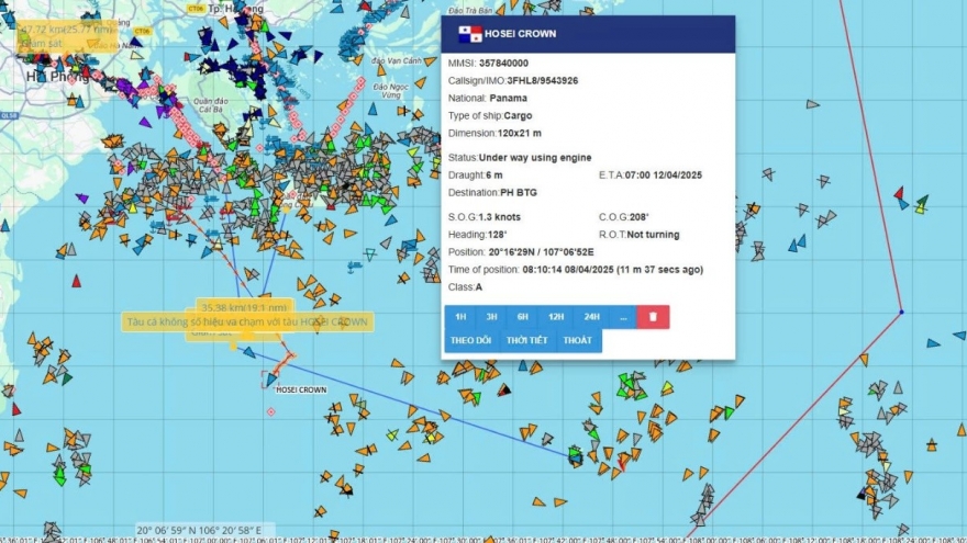 Khẩn trương tìm kiếm 12 ngư dân trên tàu cá bị chìm mất tích ở Vịnh Bắc Bộ