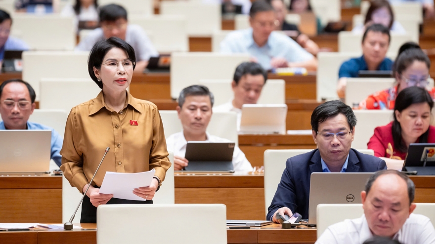 Đại biểu Quốc hội kiến nghị quy định tránh chồng chéo thanh tra, kiểm tra