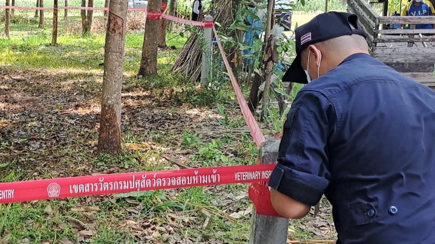 Thái Lan ghi nhận ca tử vong đầu tiên do bệnh than sau 30 năm
