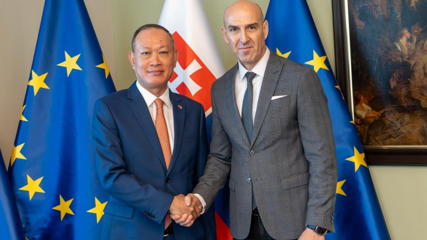Việt Nam - Slovakia tăng hợp tác phòng chống tội phạm xuyên quốc gia