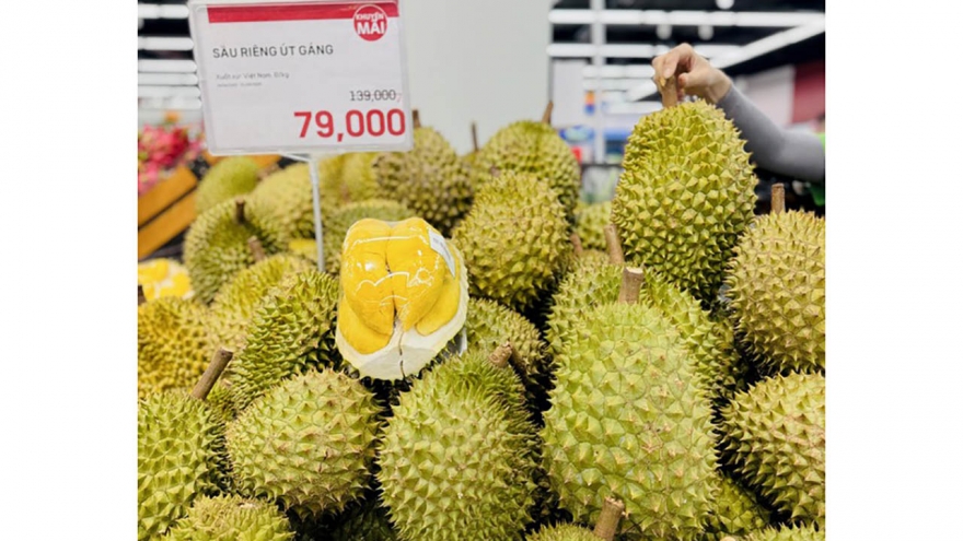 Loạn giá sầu riêng: Chỗ bán vài chục, nơi tăng vọt lên cả trăm nghìn đồng/kg