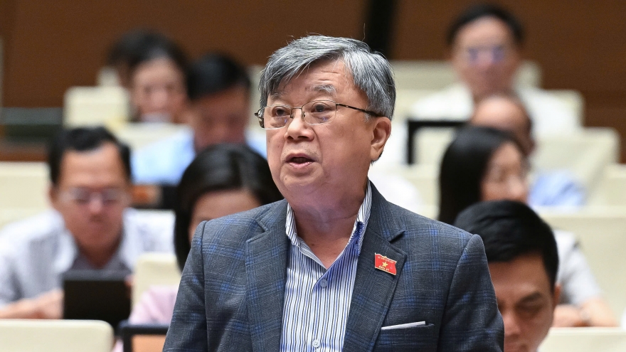 ĐBQH tranh luận với ý kiến "án tử hình không còn cần thiết"