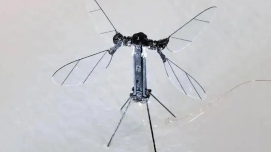 Trung Quốc ra mắt UAV kích thước bằng con muỗi để giám sát bí mật