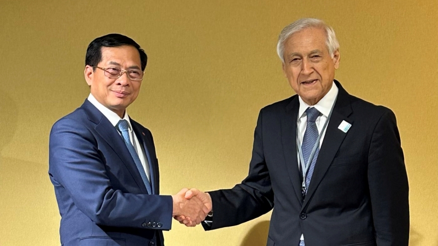 Phó Thủ tướng Bùi Thanh Sơn tiếp Đặc phái viên của Tổng thống Chile về Đại dương