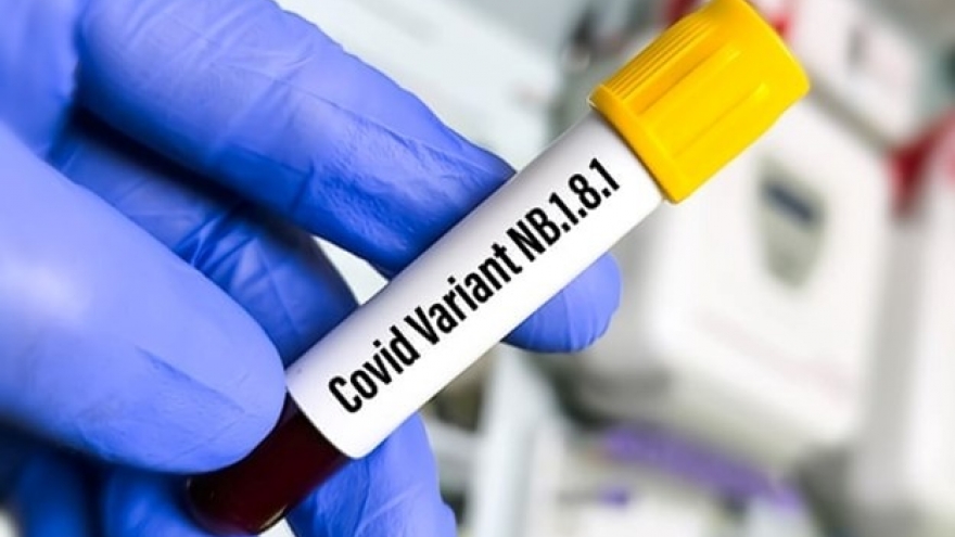 Biến thể NB.1.8.1 lây lan nhanh chóng, WHO cảnh báo về làn sóng lây nhiễm mới