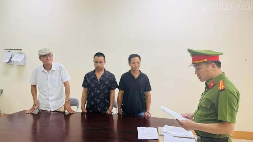 Một cán bộ hải quan và 3 đối tượng bị bắt vì khai thác gỗ trái phép