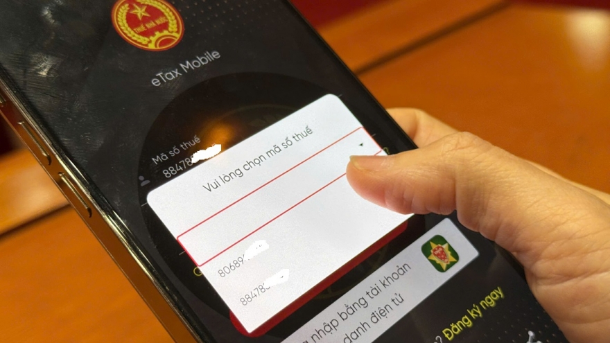 Một người có nhiều mã số thuế: Làm gì để không bị gián đoạn giao dịch thuế?