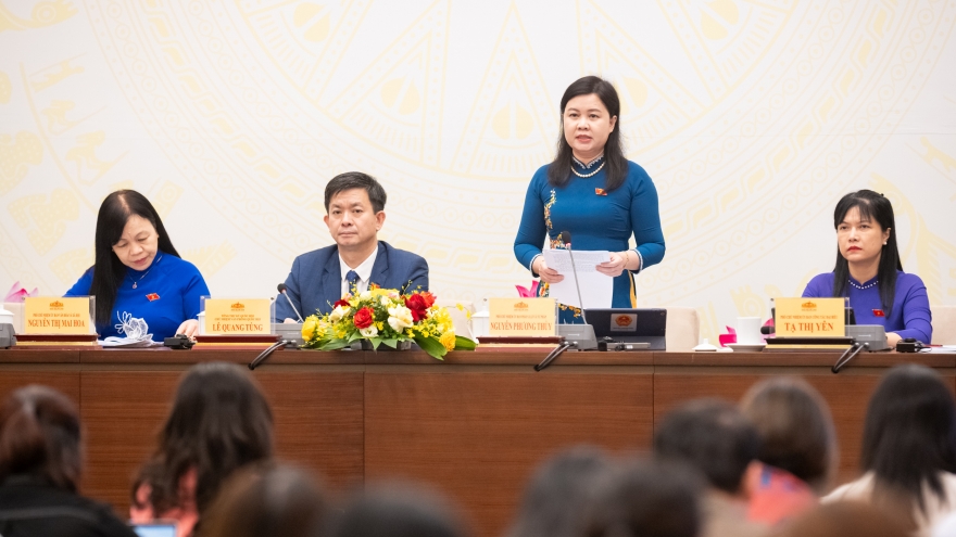 "Quốc hội sẽ thường xuyên giám sát thực hiện chính quyền địa phương 2 cấp"