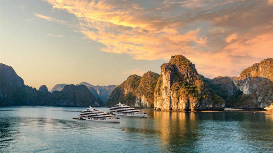 Vịnh Bái Tử Long – Vẻ đẹp nguyên bản đánh thức cảm xúc