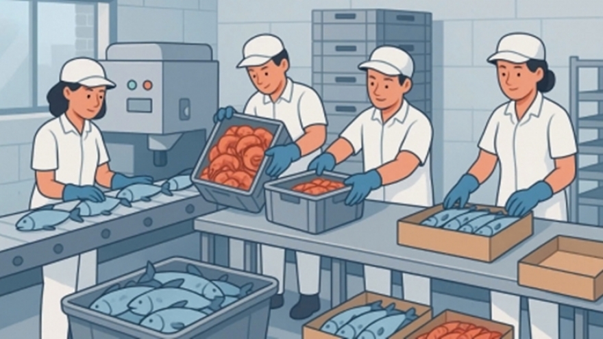 Sản xuất kinh doanh thực phẩm nhỏ lẻ cũng phải đúng luật