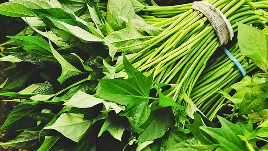 Loại rau Việt giá "rẻ như cho", ăn vào "bổ đủ đường" nhưng toàn bị ngó lơ