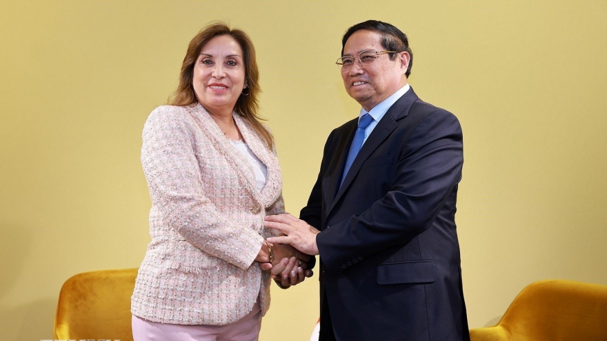 Thủ tướng Phạm Minh Chính hội kiến Tổng thống Peru Dina Boluart