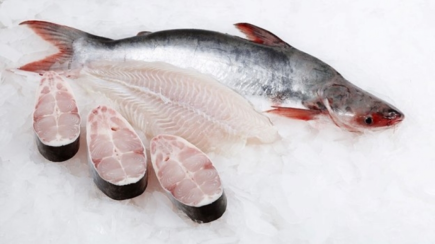 Loại cá rẻ bèo cực sẵn ở Việt Nam lại là “kho dinh dưỡng” siêu bổ cho sức khỏe