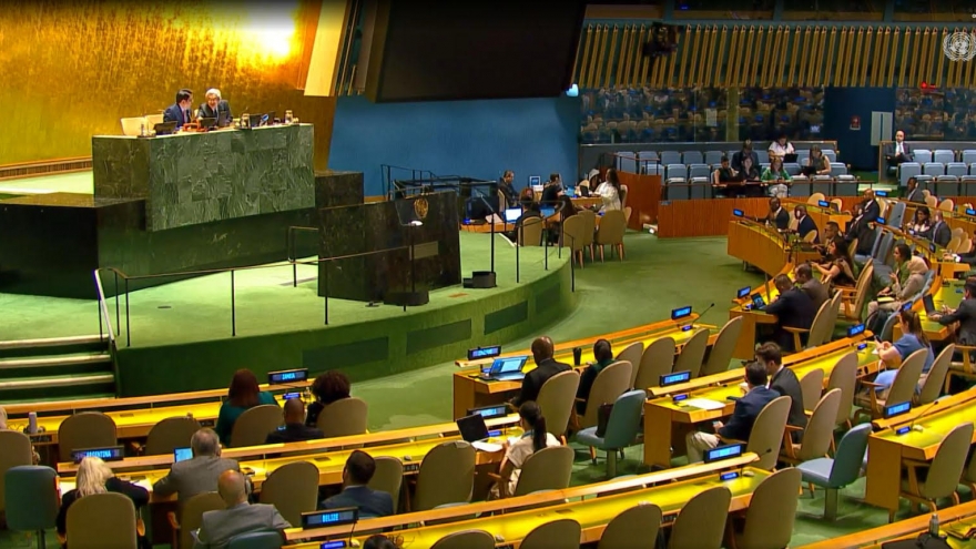 Việt Nam thúc đẩy thông qua ngân sách cho Phái bộ gìn giữ hòa bình tại Abyei