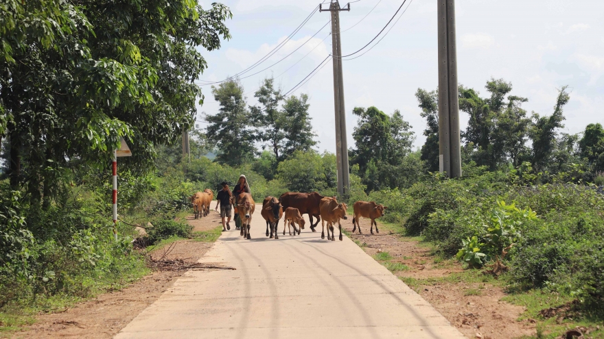Trao toàn quyền cho địa phương lập kế hoạch, huy động và phân bổ nguồn lực
